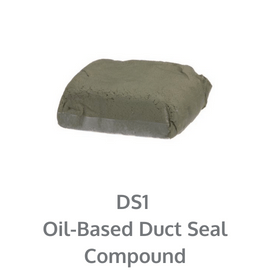 DS1