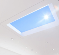 coelux skylight
