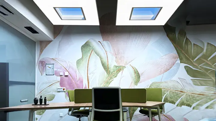 light-scene-energize